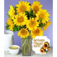 10pcs Sunflower in a Bouquet